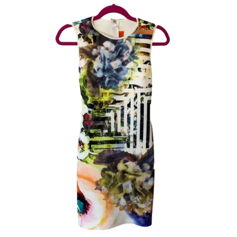 💗 Fabulous Clover Canyon dress